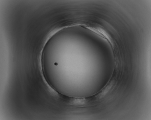 X0000088211055200705221739