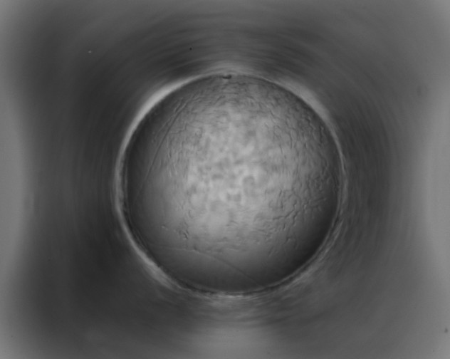 X0000088211056200705221739