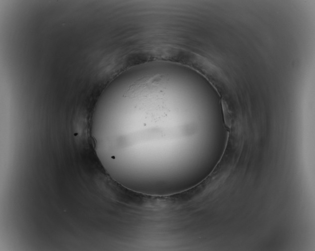 X0000088211058200705221739