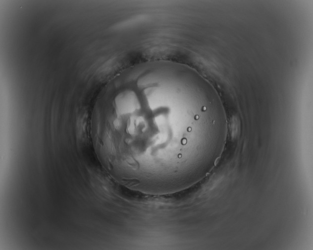 X0000088211059200705221739
