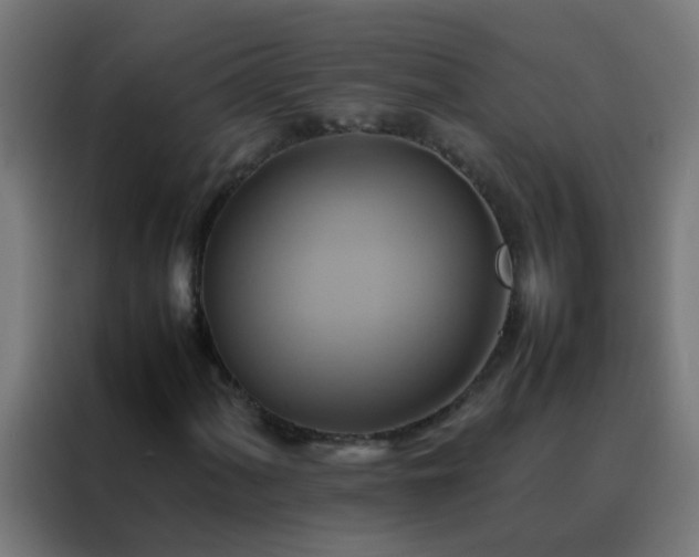 X0000088211060200705221739