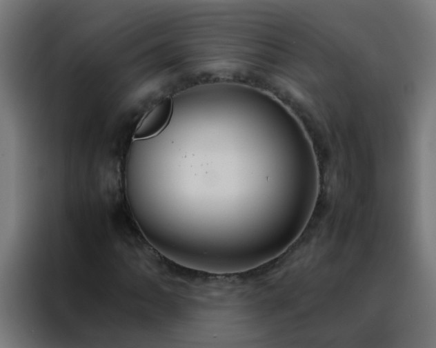 X0000088211062200705221739