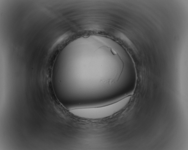 X0000088211064200705221739