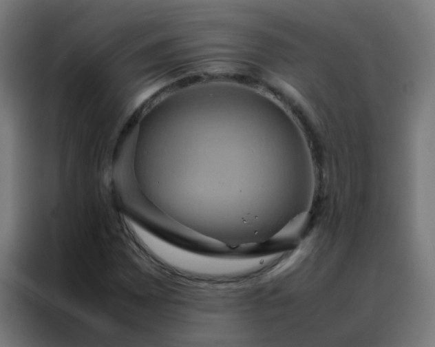 X0000088211065200705221739
