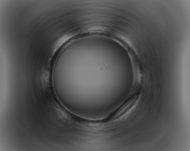 X0000088211066200705221739