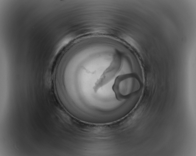 X0000088211067200705221739