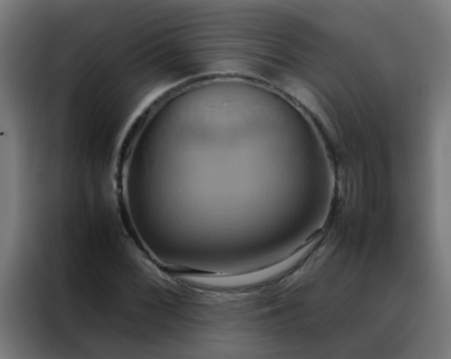 X0000088211068200705221739