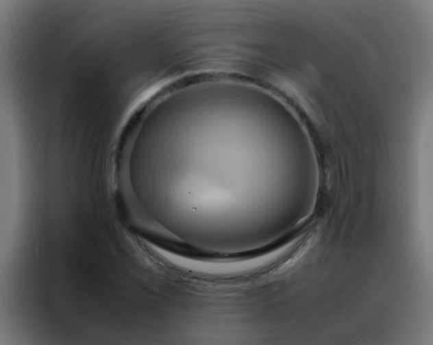 X0000088211069200705221739
