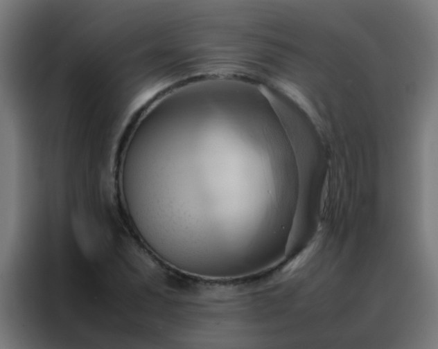 X0000088211071200705221739