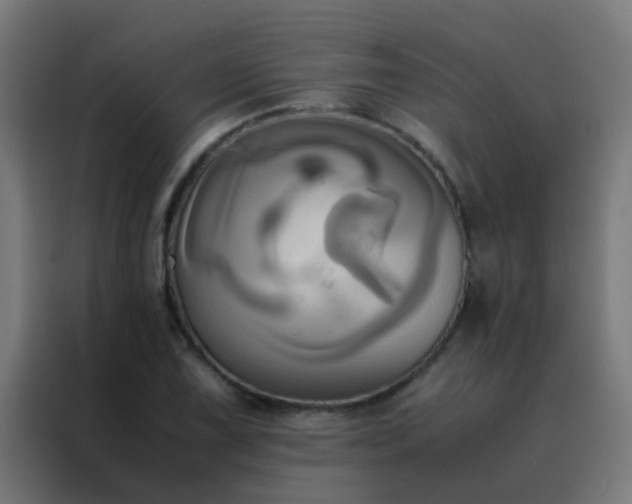 X0000088211075200705221739