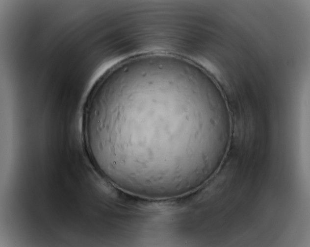 X0000088211078200705221739