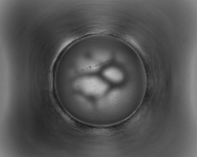 X0000088211079200705221739
