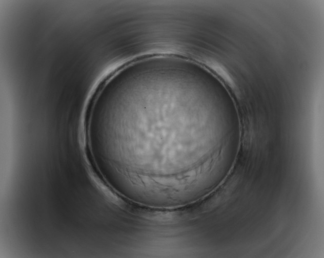 X0000088211080200705221739
