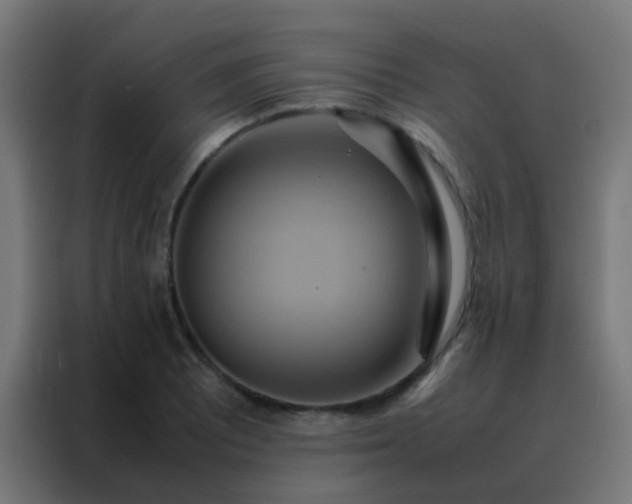 X0000088211081200705221738