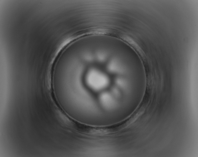 X0000088211083200705221738