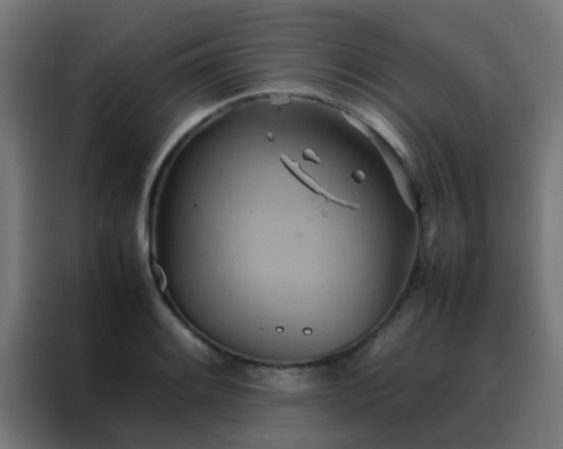 X0000088211084200705221738