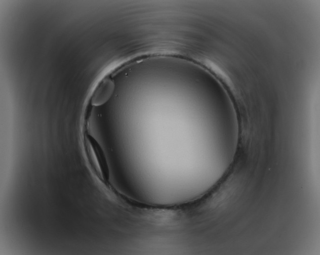 X0000088211085200705221738