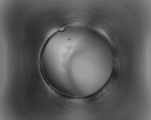X0000088211087200705221738