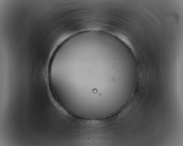 X0000088211088200705221738