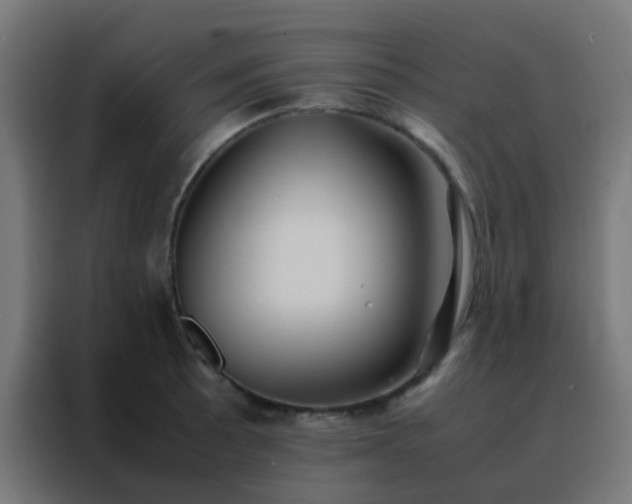 X0000088211089200705221738