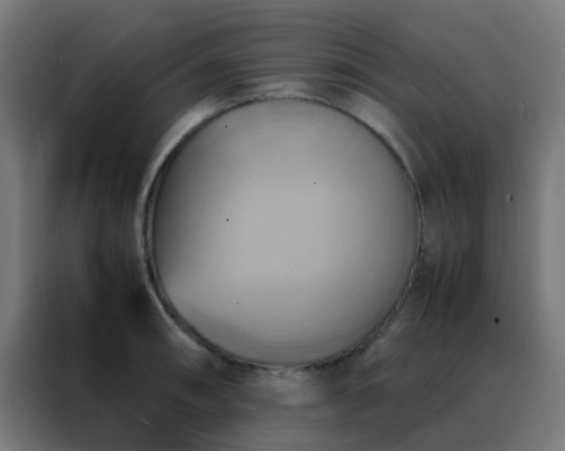 X0000088211090200705221738