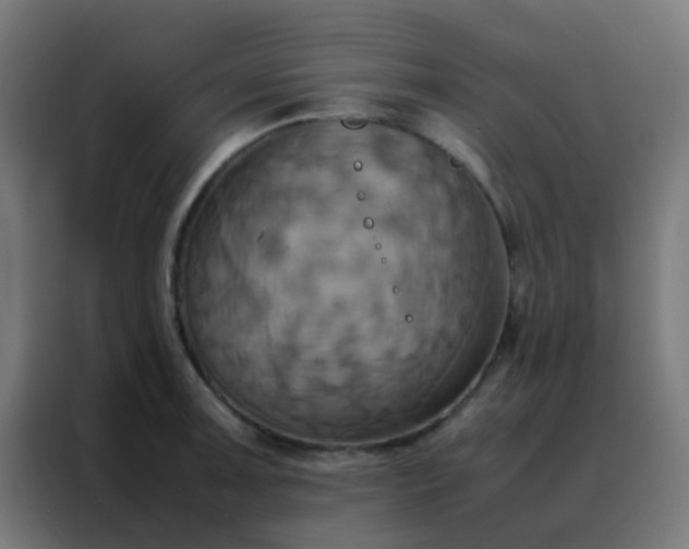 X0000088211091200705221738
