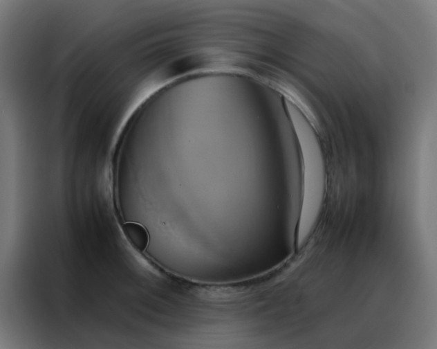 X0000088211092200705221738