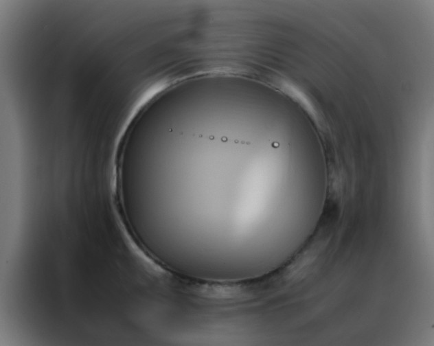 X0000088211095200705221738