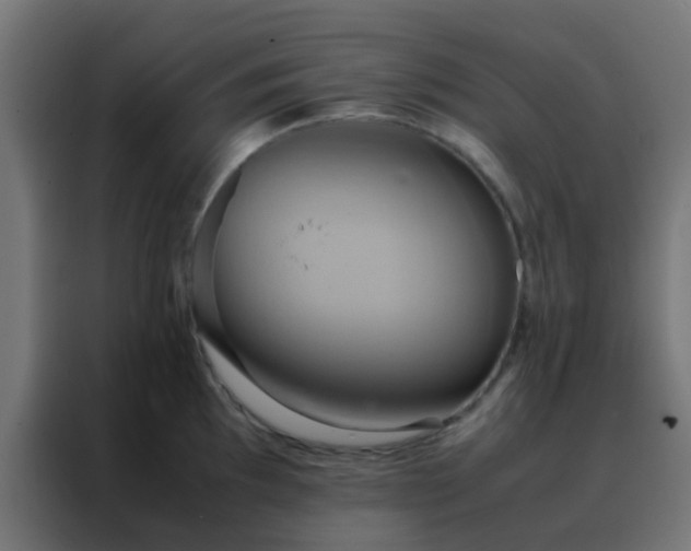 X0000088211097200705221738