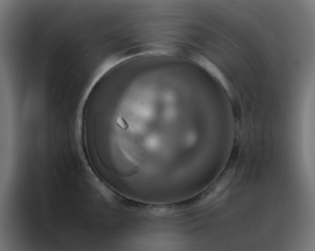 X0000088211099200705221738