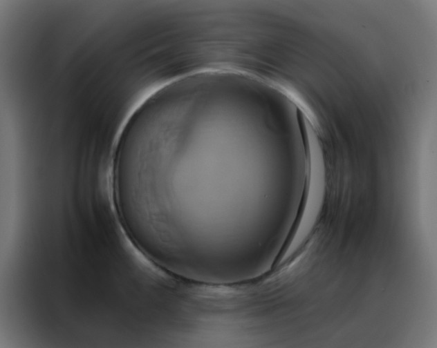 X0000088211100200705221738