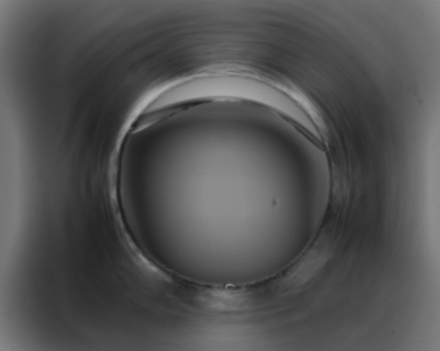 X0000088211102200705221738