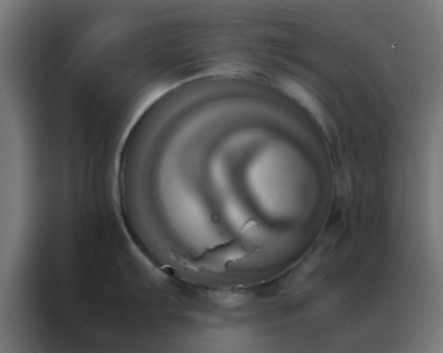 X0000088211103200705221738