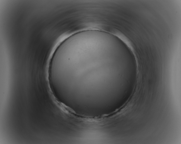 X0000088211104200705221738