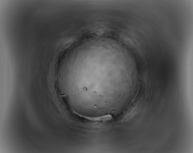 X0000088211105200705221738