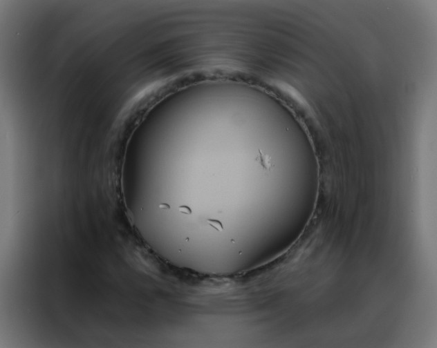 X0000088211112200705221738