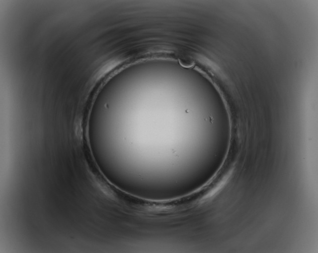 X0000088211113200705221738