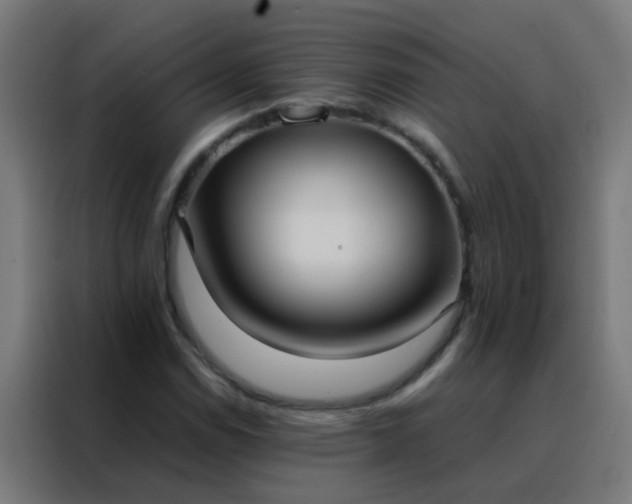 X0000088211114200705221738