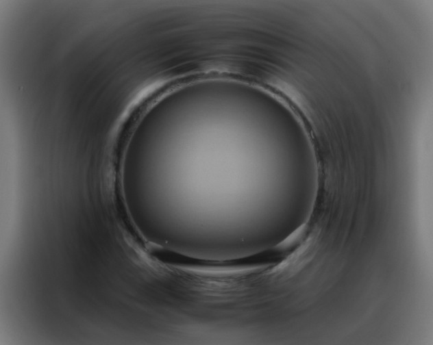 X0000088211115200705221738
