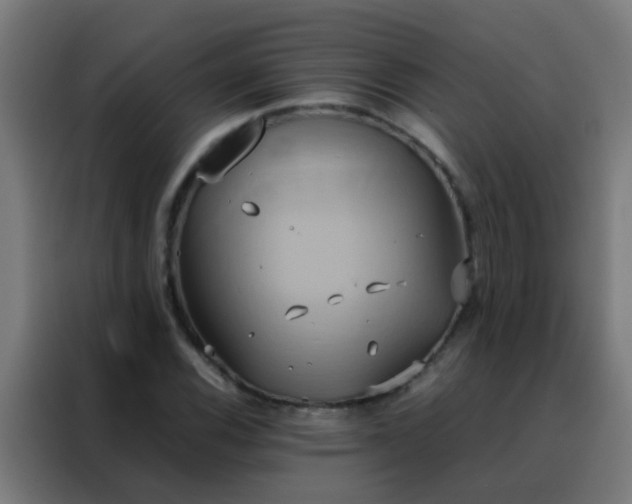 X0000088211116200705221738