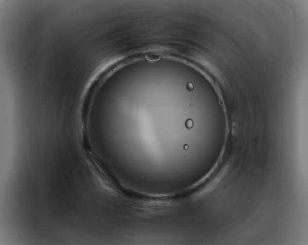 X0000088211117200705221738