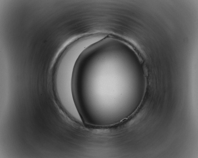 X0000088211118200705221738