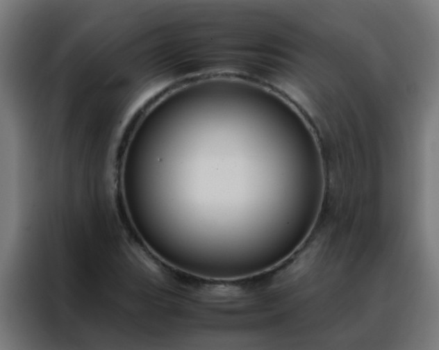 X0000088211119200705221738