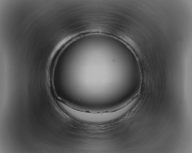 X0000088211120200705221738