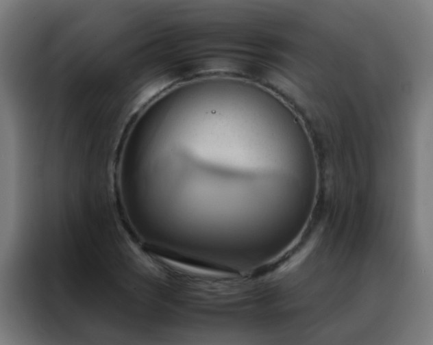X0000088211121200705221738