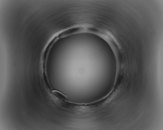X0000088211124200705221738