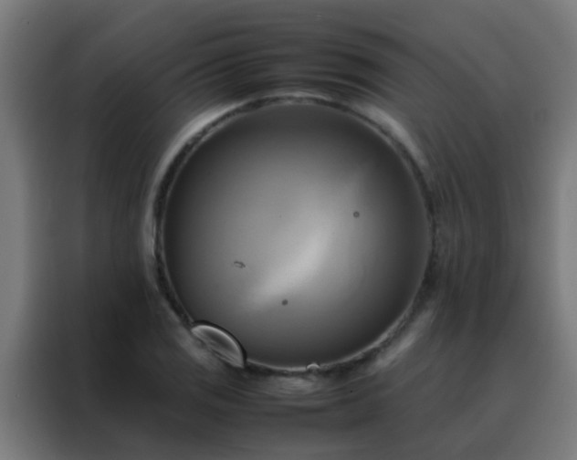 X0000088211125200705221738