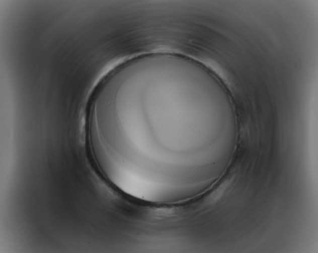 X0000088211126200705221738