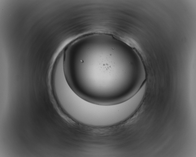 X0000088211128200705221738
