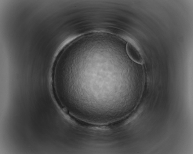 X0000088211133200705221738